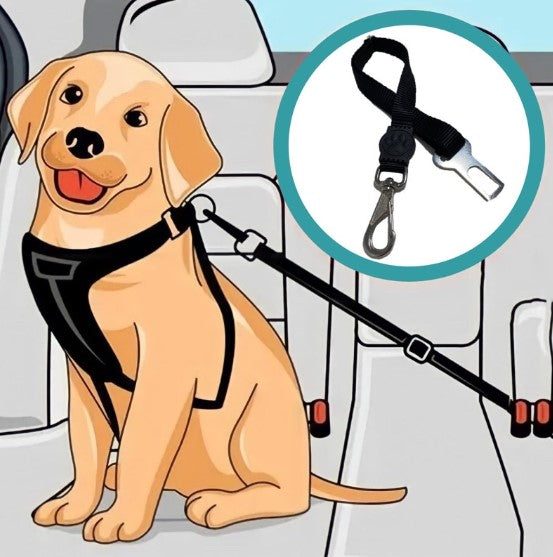 Fur Baby On Board!!  Buckle Up with a Pet Seatbelt